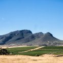 ZAF WC WC Moorreesburg 2016NOV17 006 : 2016, 2016 - African Adventures, Africa, November, South Africa, Southern, Western Cape, West Coast, Moorreesburg